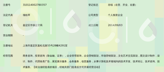 上海華略商務(wù)咨詢服務(wù)中心 以專(zhuān)業(yè)網(wǎng)站塑造高端商務(wù)形象